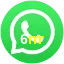 6rrr WhatsApp